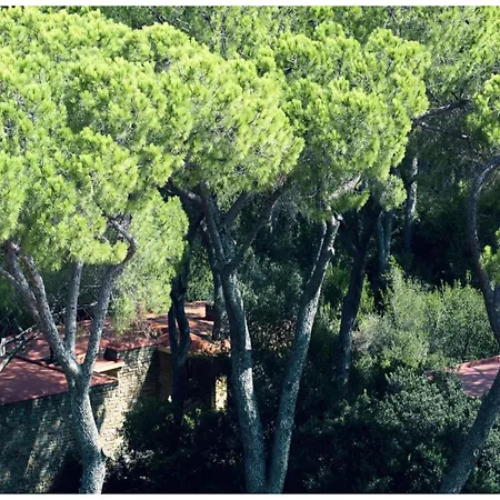 With Shared Pool Near The Castiglione della Pescaia